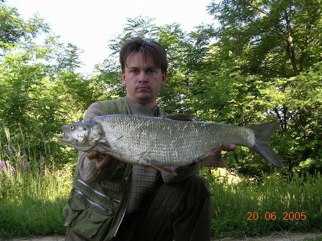 peto 2005 hron - 1